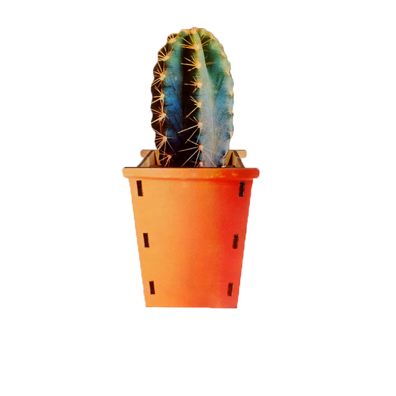 植物筆筒